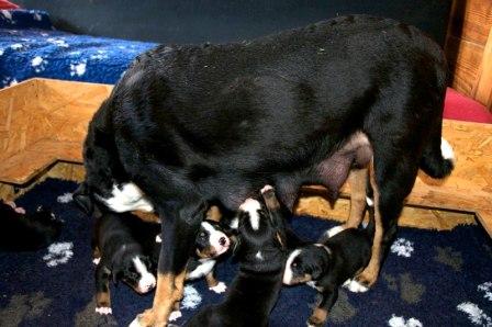 35 - Mama ist wieder da