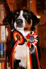 545623_323687401062280_2129314632_n-1