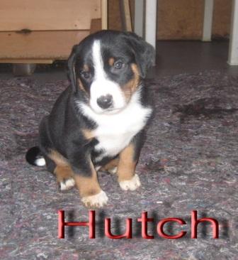 IMG_1108, Hutch