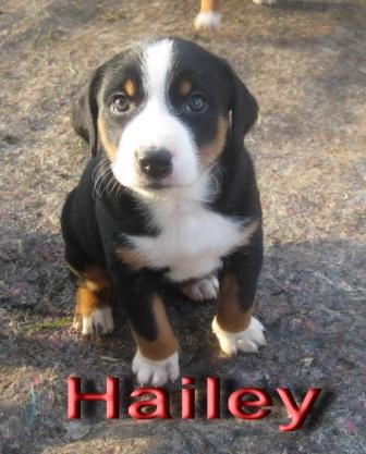 IMG_1112, Hailey