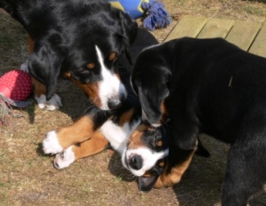 Ich bin schon tot P1100524