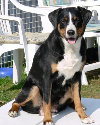 Mama Betti in Hochform P1100531