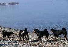 P1120529, N,K,P.CH, 1