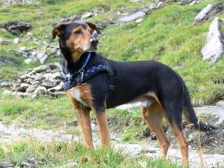 ich hab' alles im Griff