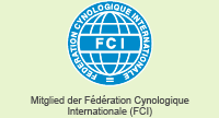 logo_fci_footer