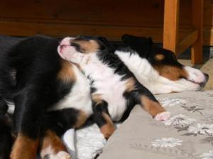 picknick_2_ich_lieb_dich_so