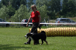 praesentationAppenzeller