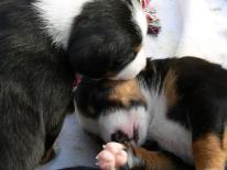 schlafen_15_los__wach_auf_du