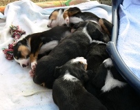 schlafen_16_no..na_gut