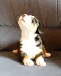 spielen_4_ich_kann_schon_schau